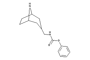 N-(8-azabicyclo[3.2.1]octan-3-ylmethyl)carbamic Acid Phenyl Ester