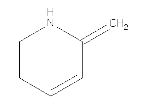 Image of 6-methylene-2,3-dihydro-1H-pyridine