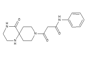 Image of 3-keto-3-(7-keto-3,8,11-triazaspiro[5.5]undecan-3-yl)-N-phenyl-propionamide
