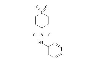 1,1-diketo-N-phenyl-thiane-4-sulfonamide