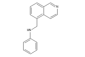 5-isoquinolylmethyl(phenyl)amine