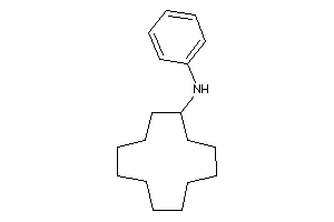 Image of Cyclododecyl(phenyl)amine