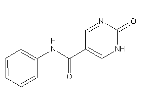 2-keto-N-phenyl-1H-pyrimidine-5-carboxamide