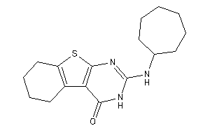 2-(cycloheptylamino)-5,6,7,8-tetrahydro-3H-benzothiopheno[2,3-d]pyrimidin-4-one