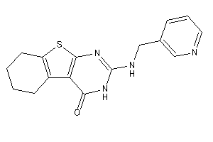 2-(3-pyridylmethylamino)-5,6,7,8-tetrahydro-3H-benzothiopheno[2,3-d]pyrimidin-4-one