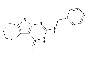 2-(4-pyridylmethylamino)-5,6,7,8-tetrahydro-3H-benzothiopheno[2,3-d]pyrimidin-4-one