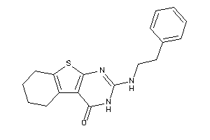 2-(phenethylamino)-5,6,7,8-tetrahydro-3H-benzothiopheno[2,3-d]pyrimidin-4-one