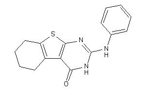 2-anilino-5,6,7,8-tetrahydro-3H-benzothiopheno[2,3-d]pyrimidin-4-one