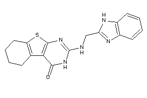 2-(1H-benzimidazol-2-ylmethylamino)-5,6,7,8-tetrahydro-3H-benzothiopheno[2,3-d]pyrimidin-4-one