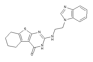 2-[2-(benzimidazol-1-yl)ethylamino]-5,6,7,8-tetrahydro-3H-benzothiopheno[2,3-d]pyrimidin-4-one