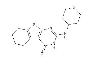 2-(tetrahydrothiopyran-4-ylamino)-5,6,7,8-tetrahydro-3H-benzothiopheno[2,3-d]pyrimidin-4-one