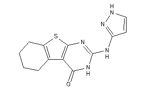 2-(1H-pyrazol-3-ylamino)-5,6,7,8-tetrahydro-3H-benzothiopheno[2,3-d]pyrimidin-4-one