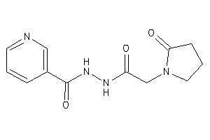 N'-[2-(2-ketopyrrolidino)acetyl]nicotinohydrazide