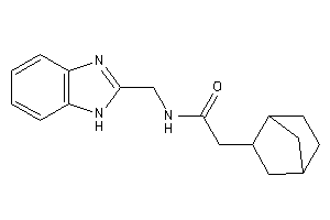 N-(1H-benzimidazol-2-ylmethyl)-2-(2-norbornyl)acetamide