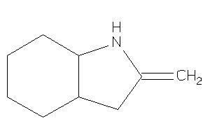 Image of 2-methylene-1,3,3a,4,5,6,7,7a-octahydroindole
