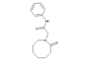 2-(2-ketoazocan-1-yl)-N-phenyl-acetamide