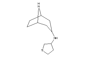 8-azabicyclo[3.2.1]octan-3-yl(tetrahydrothiophen-3-yl)amine