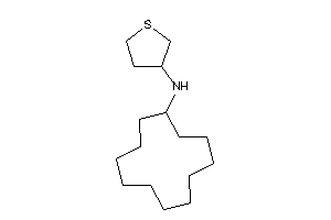 Cyclododecyl(tetrahydrothiophen-3-yl)amine