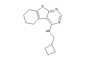 Cyclobutylmethyl(5,6,7,8-tetrahydrobenzothiopheno[2,3-d]pyrimidin-4-yl)amine