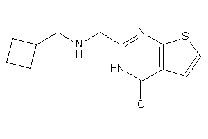 2-[(cyclobutylmethylamino)methyl]-3H-thieno[2,3-d]pyrimidin-4-one