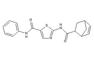 2-(bicyclo[2.2.1]hept-2-ene-5-carbonylamino)-N-phenyl-thiazole-5-carboxamide