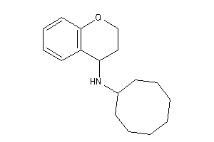 Chroman-4-yl(cyclooctyl)amine