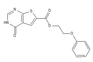 4-keto-3H-thieno[2,3-d]pyrimidine-6-carboxylic Acid 2-phenoxyethyl Ester