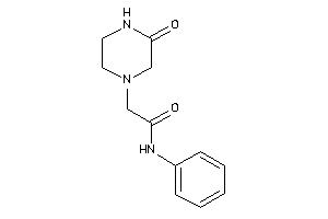 2-(3-ketopiperazino)-N-phenyl-acetamide