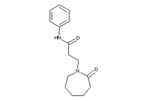 3-(2-ketoazepan-1-yl)-N-phenyl-propionamide