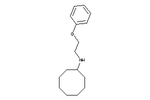 Cyclooctyl(2-phenoxyethyl)amine