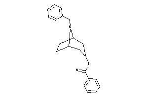 Benzoic Acid (8-benzyl-8-azabicyclo[3.2.1]octan-3-yl) Ester
