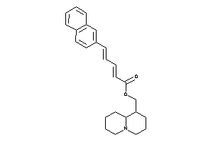 5-(2-naphthyl)penta-2,4-dienoic Acid Quinolizidin-1-ylmethyl Ester