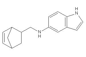 5-bicyclo[2.2.1]hept-2-enylmethyl(1H-indol-5-yl)amine