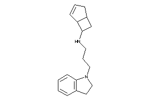 6-bicyclo[3.2.0]hept-3-enyl(3-indolin-1-ylpropyl)amine
