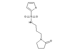 N-[3-(2-ketopyrrolidino)propyl]thiophene-2-sulfonamide