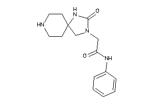 2-(3-keto-2,4,8-triazaspiro[4.5]decan-2-yl)-N-phenyl-acetamide