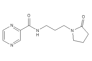 N-[3-(2-ketopyrrolidino)propyl]pyrazinamide