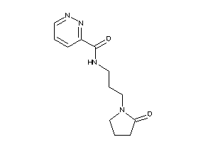 N-[3-(2-ketopyrrolidino)propyl]pyridazine-3-carboxamide