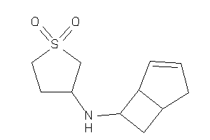 Image of 6-bicyclo[3.2.0]hept-3-enyl-(1,1-diketothiolan-3-yl)amine