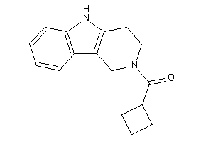 Cyclobutyl(1,3,4,5-tetrahydropyrido[4,3-b]indol-2-yl)methanone