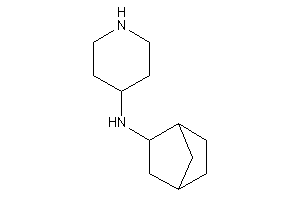 2-norbornyl(4-piperidyl)amine