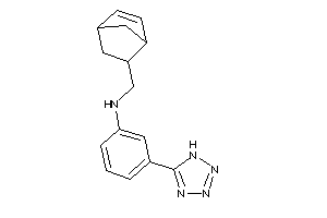 5-bicyclo[2.2.1]hept-2-enylmethyl-[3-(1H-tetrazol-5-yl)phenyl]amine