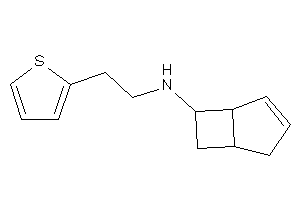 Image of 6-bicyclo[3.2.0]hept-3-enyl-[2-(2-thienyl)ethyl]amine