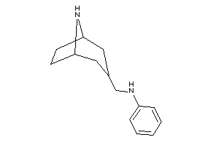 Image of 8-azabicyclo[3.2.1]octan-3-ylmethyl(phenyl)amine