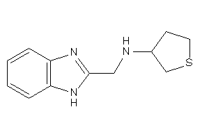 1H-benzimidazol-2-ylmethyl(tetrahydrothiophen-3-yl)amine