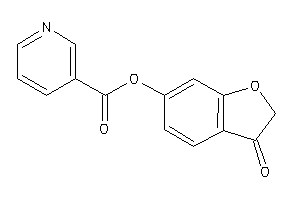 Nicotin (3-ketocoumaran-6-yl) Ester
