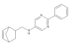 5-bicyclo[2.2.1]hept-2-enylmethyl-(2-phenylpyrimidin-5-yl)amine