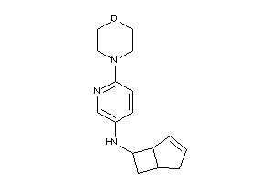6-bicyclo[3.2.0]hept-3-enyl-(6-morpholino-3-pyridyl)amine