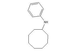 Cyclooctyl(phenyl)amine