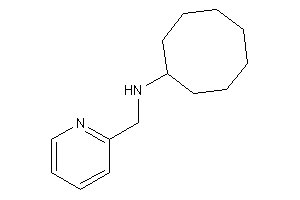 Cyclooctyl(2-pyridylmethyl)amine